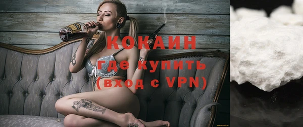 МДПВ Бородино