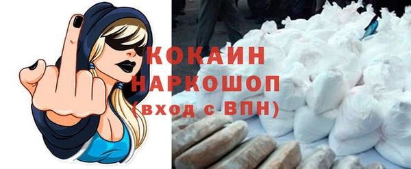 ECSTASY Шилка