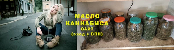 МДПВ Бородино