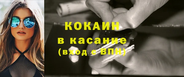 МДПВ Бородино