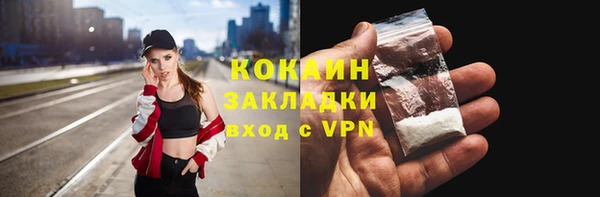 МДПВ Бородино