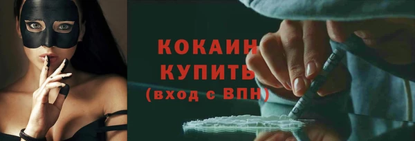 МДПВ Бородино