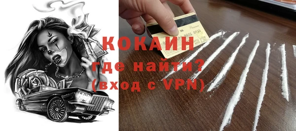МДПВ Бородино