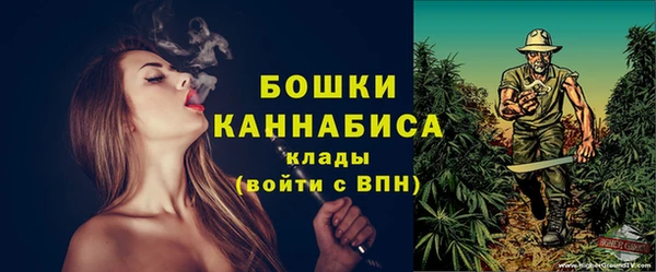 ECSTASY Шилка