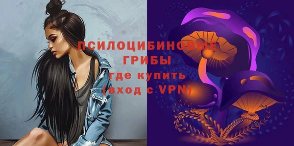 МДПВ Бородино