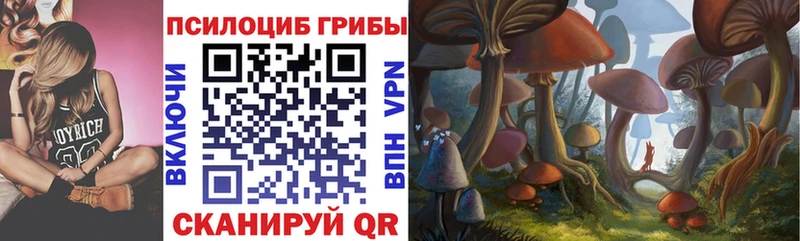 Галлюциногенные грибы Psilocybine cubensis  Вилюйск 
